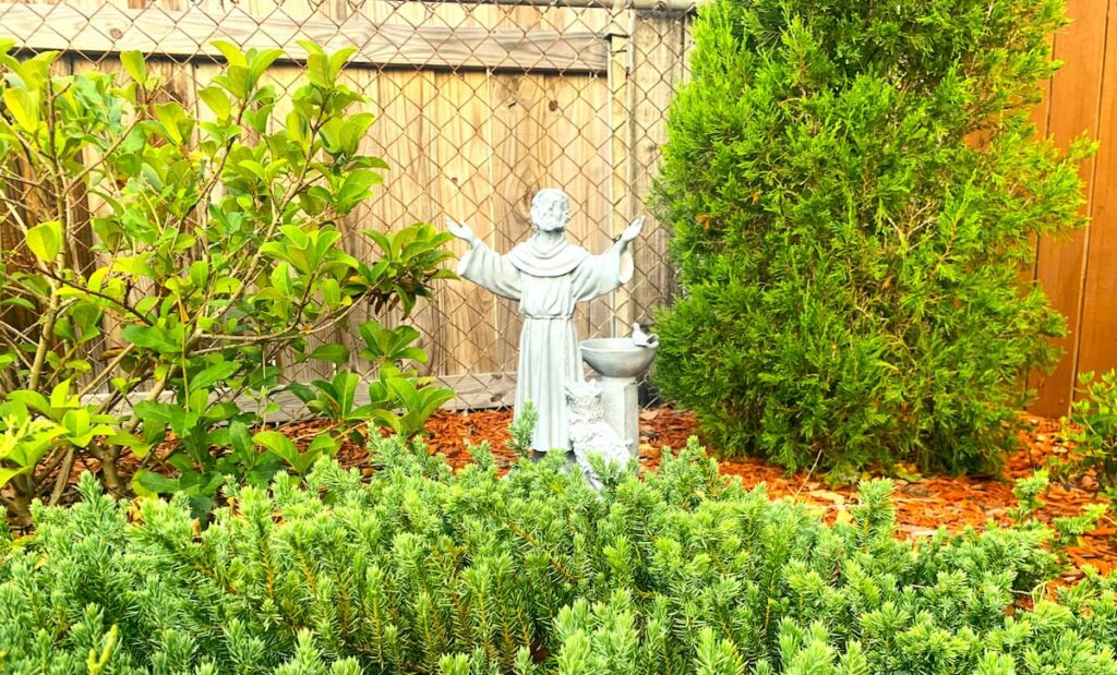 My garden needs all the help it can get -- including an assist from Saint Francis! 