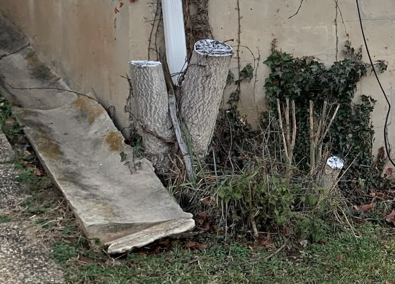 Check this out... Looks like this tree was growing too close to the foundation, uplifting a drainage gutter and potentially causing other issues to the home's foundation. Good thing they cut this tree down before it got any bigger or caused any other (expensive) headaches. 