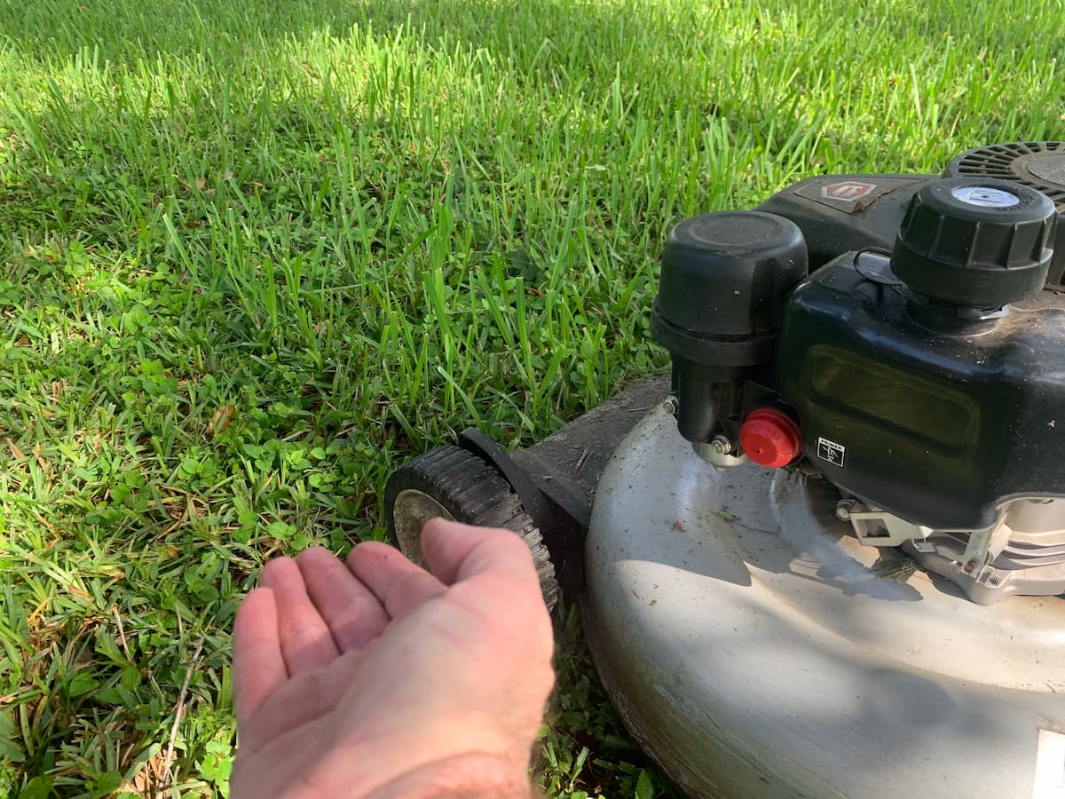 What’s The Best Height For Cutting Grass?