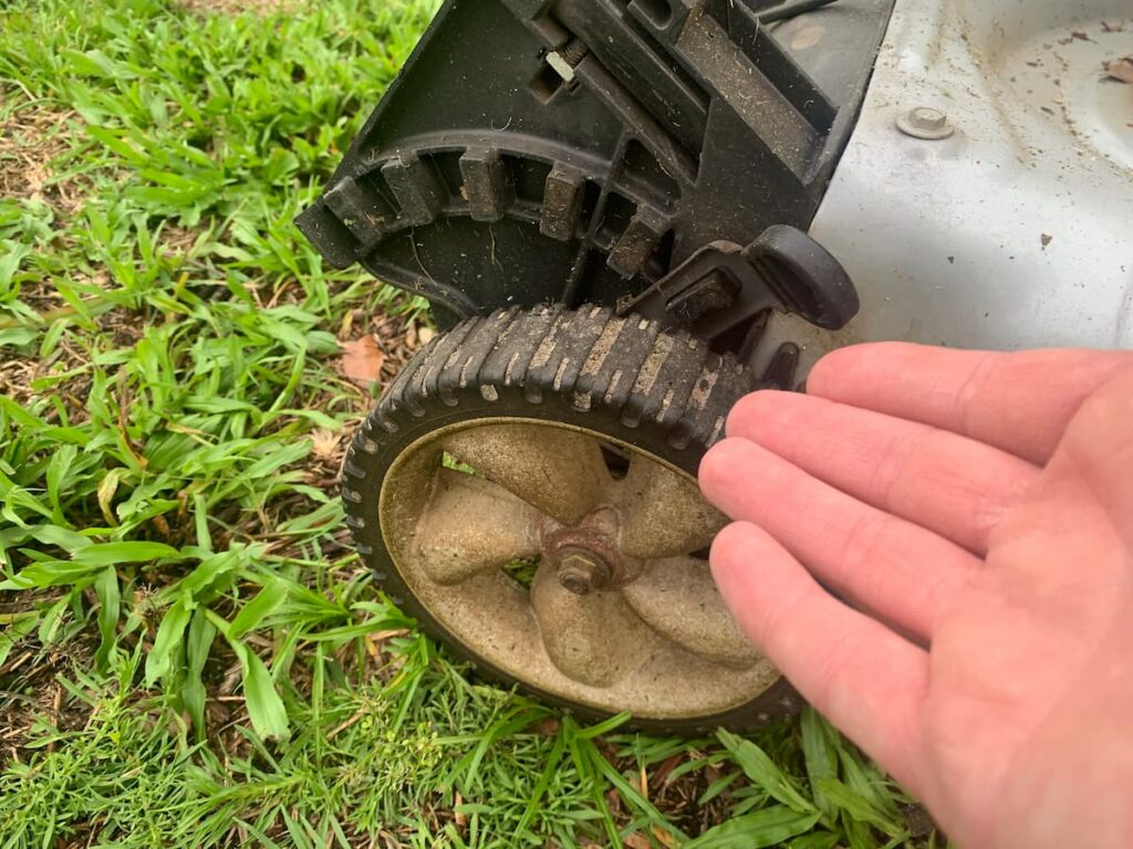 I set my lawn mower blade to the highest setting for my summer mowing. 