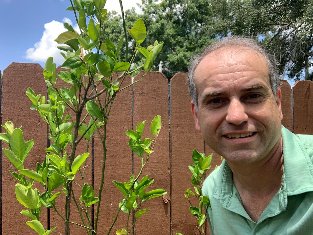 Me and my mandarin! My wife and I love growing several fruit trees in our yard.