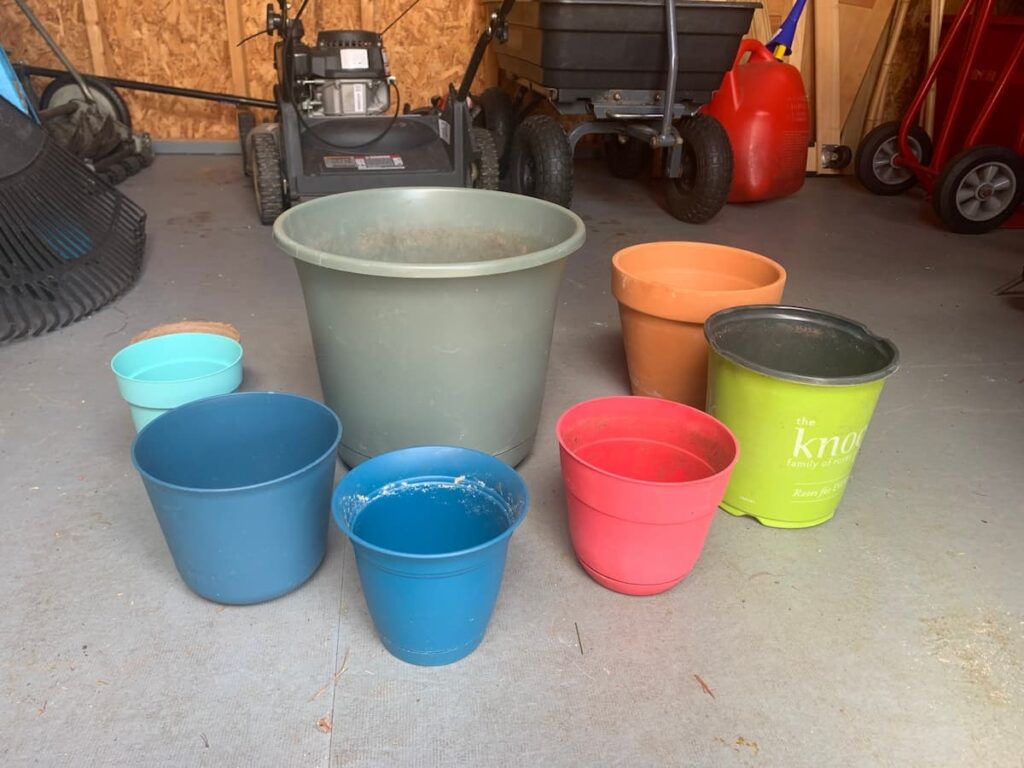 I've got a variety of pots in all different sizes standing by in case I need them for potting new plants or transplanting ones I already have into bigger containers. 