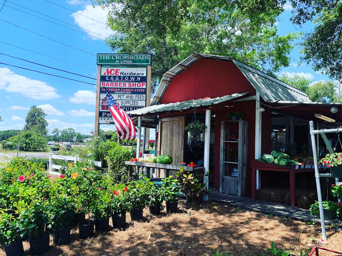 A Local Garden Nursery: The Best Place Near You To Buy Plants?