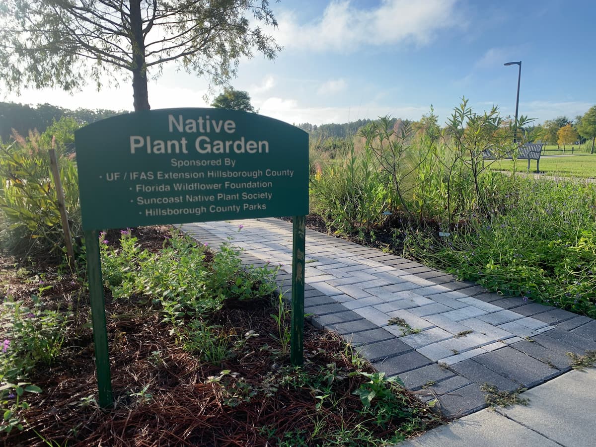 How To Grow A Native Plant Garden In Your Yard