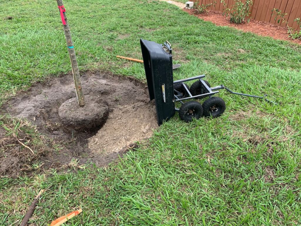 I backfilled the hole I dug with the native soil that originally came out of the ground.