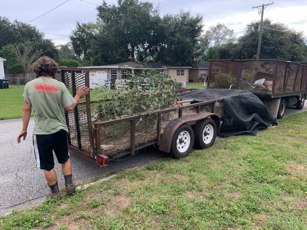 The local garden nursery from where I bought my tree delivered it since it was too big to safely fit in my car. 