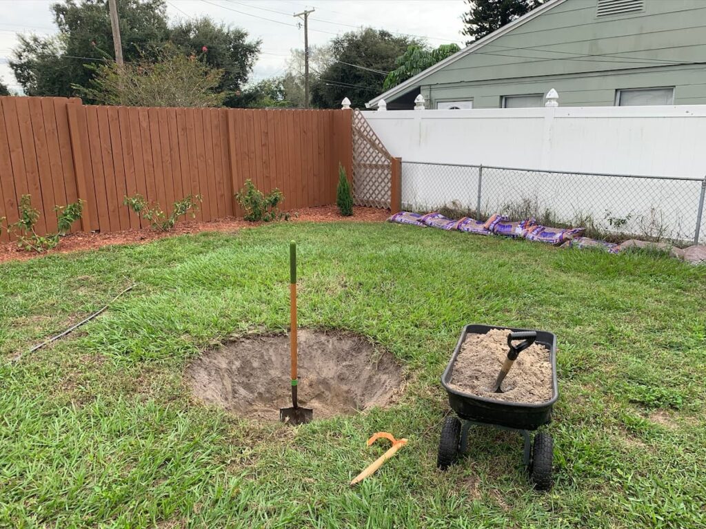 I dug the hole for my new tree more than twice as wide as its root ball but not too deep, either. 