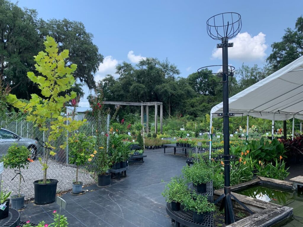 I shop at my local nursery when buying pollinator plants. 