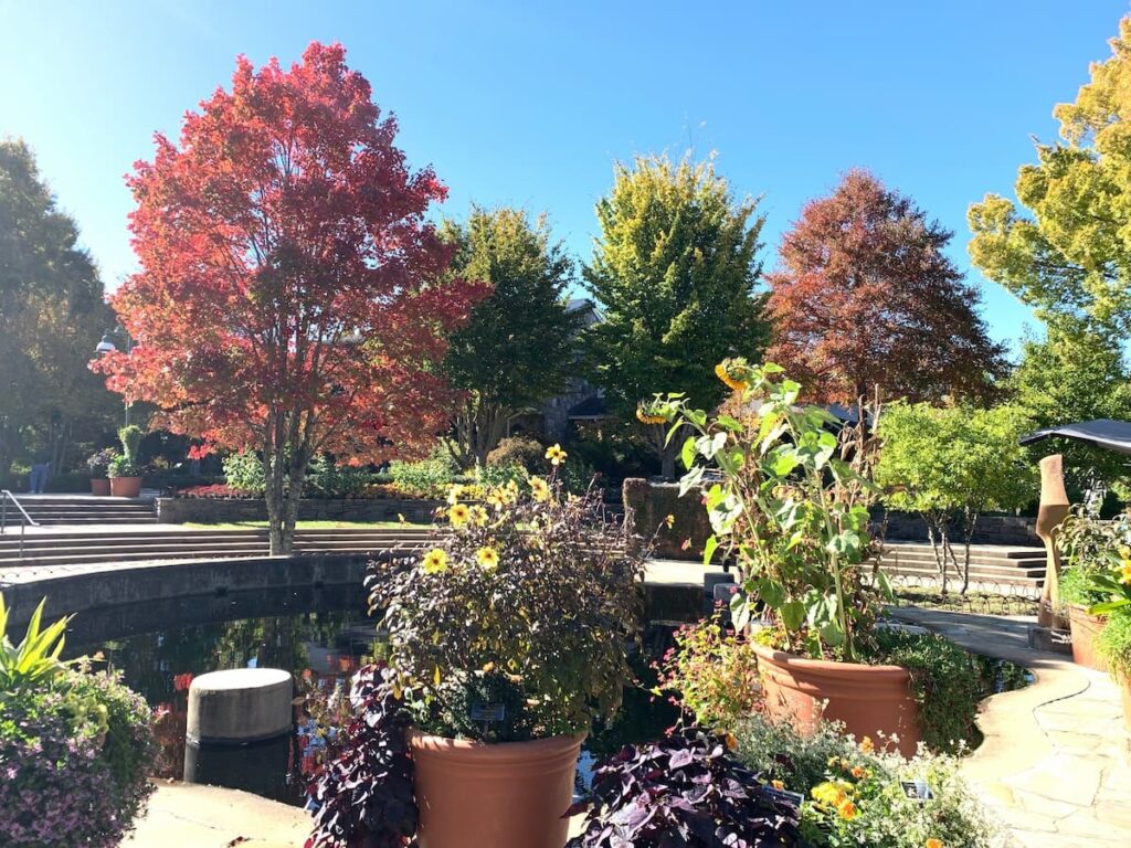 Beautiful trees grace the scene at the North Carolina Arboretum near Asheville. 