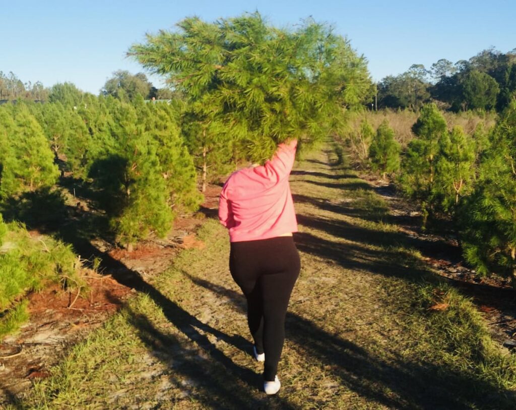 My wife walks ahead of me with our very first real Christmas tree we ever cut at a farm in Florida.