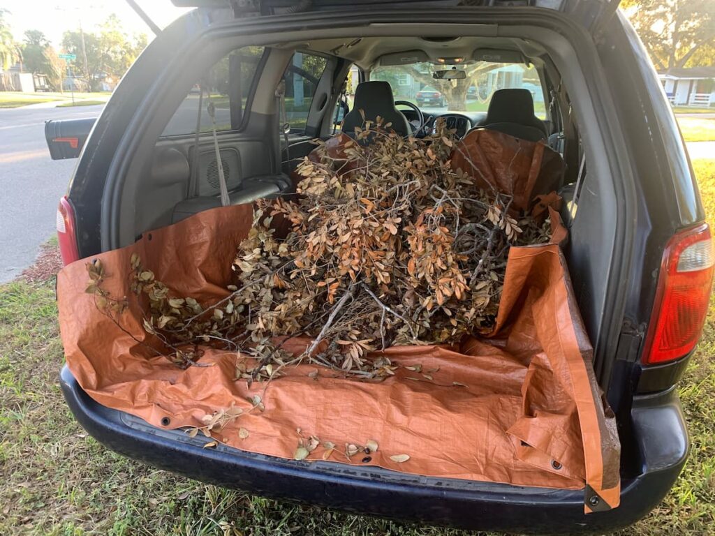 I made sure I placed tarp in my van before putting yard waste in there. It keeps the van cleaner, protects the interior from sharp branches, and makes it easier to unload the yard waste at the dump. 