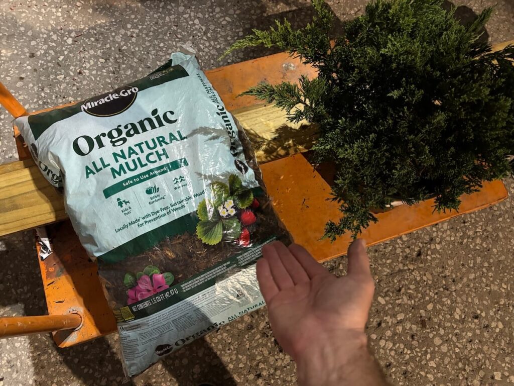 There are many pros and cons to using organic mulch. 