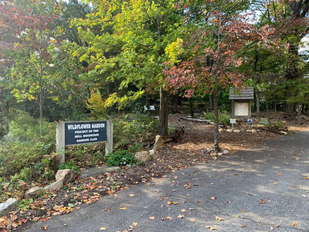 Mill Mountain Wildflower Garden is one of the many fun things to see and do in Roanoke any time of the year.