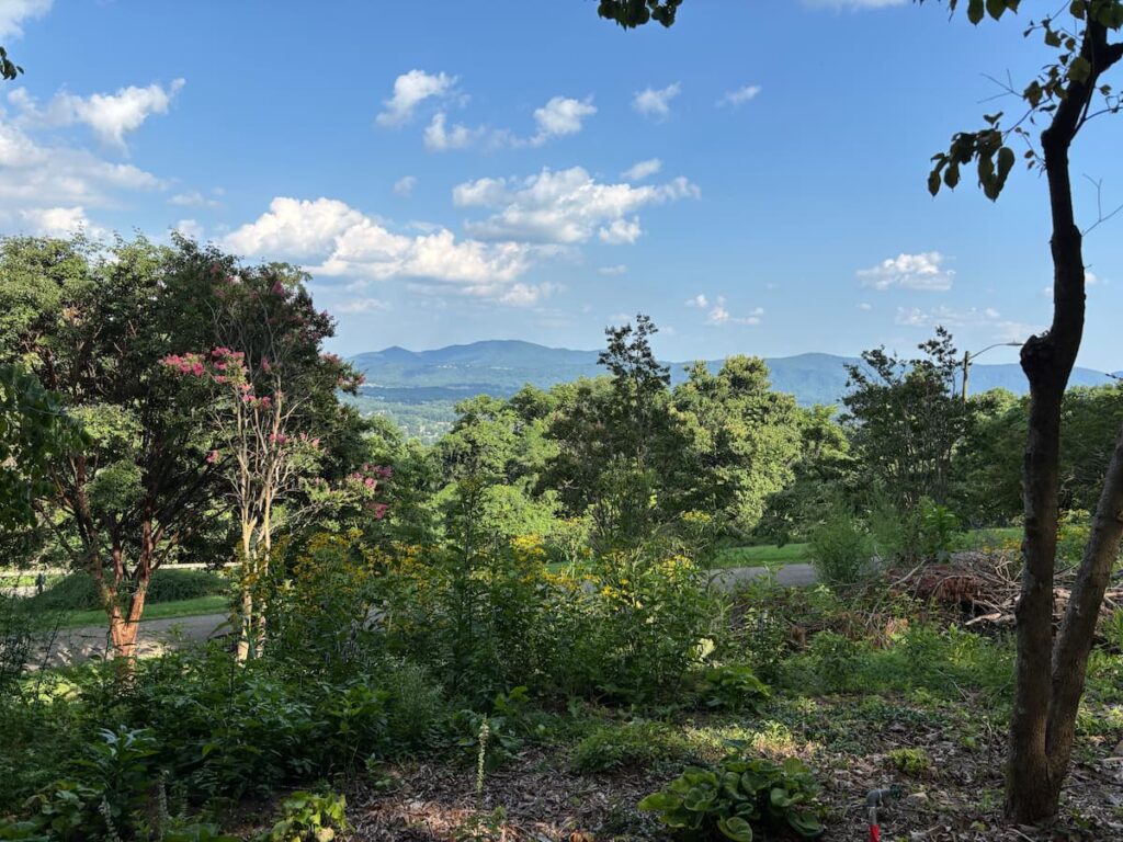 A view of the main driveway up to the Mill Mountain Star and the botanical gardens in Roanoke. 