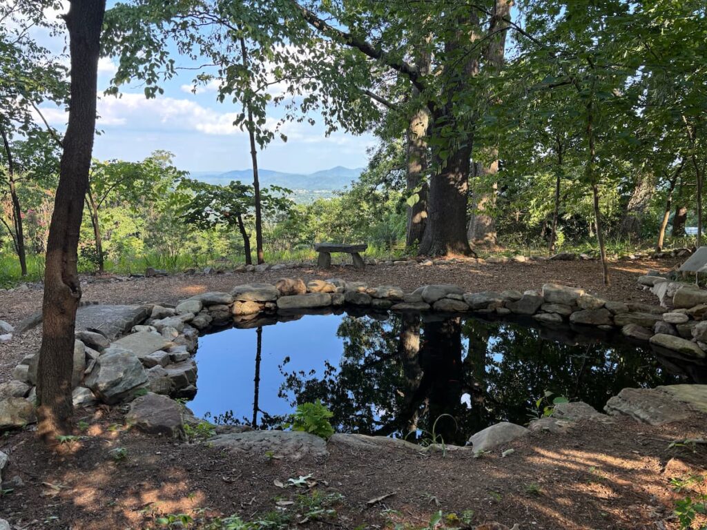 A reflecting pond helps you unwind from everyday stressors. 