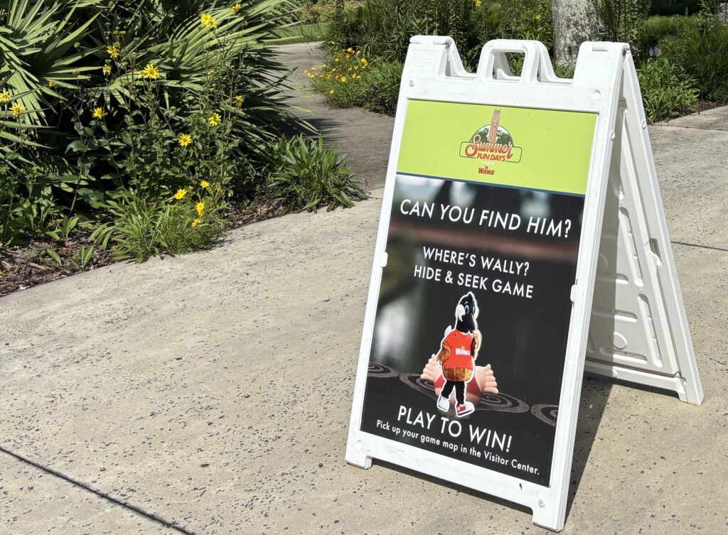 Find Wally on free Wawa day at Bok Tower Gardens in Florida